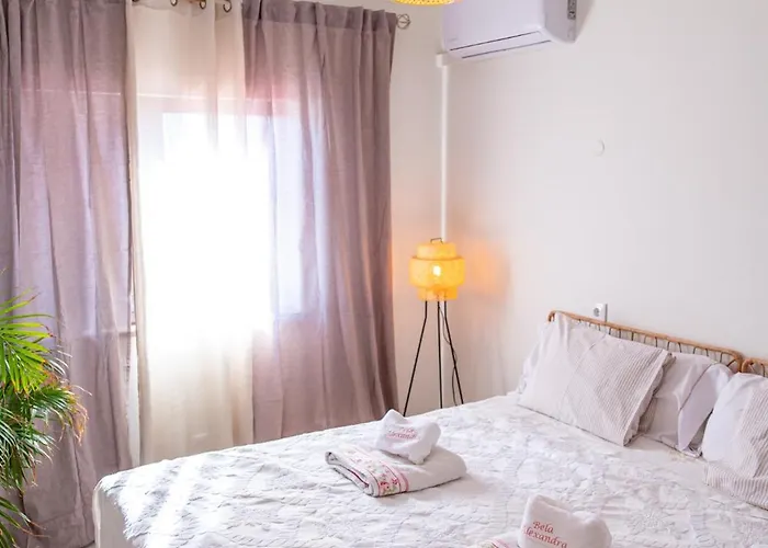 Bela Alexandra 푸제타