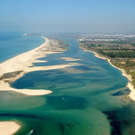 Bela Alexandra Fuzeta