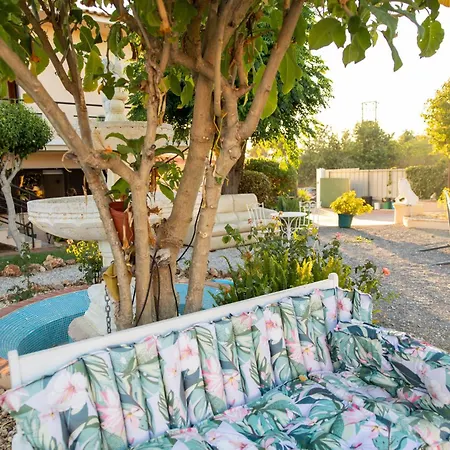 招待所 Bela Alexandra *