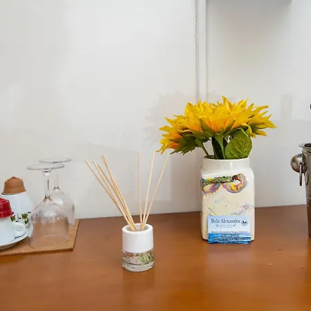 招待所 Bela Alexandra *
