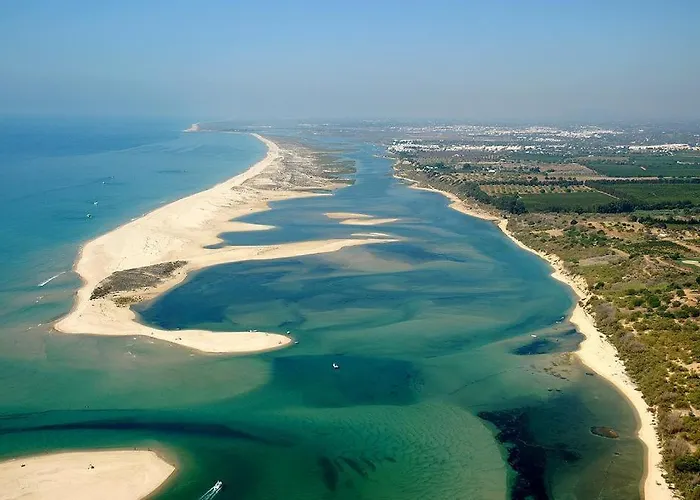 Bela Alexandra Fuzeta